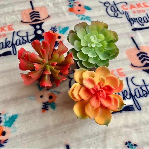 Other - 🌵 Faux Succulents 🌵